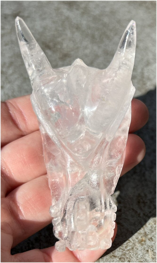 Quartz Dragon Crystal Skull with Hematite inclusions - Focus, Transformation