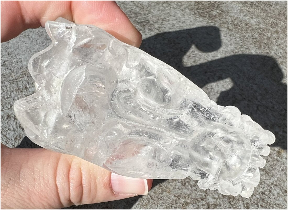 Quartz Dragon Crystal Skull with Hematite inclusions - Focus, Transformation