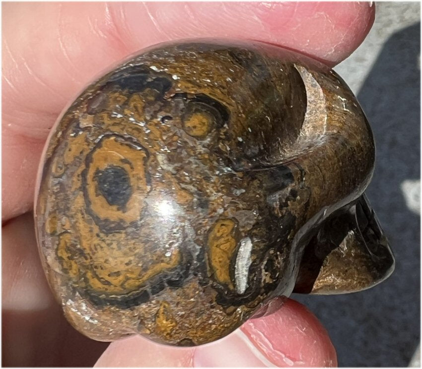 Stromatolite Fossil Stone CRYSTAL SKULL - Open to change, Root Chakra