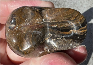 Stromatolite Fossil Stone CRYSTAL SKULL - Open to change, Root Chakra
