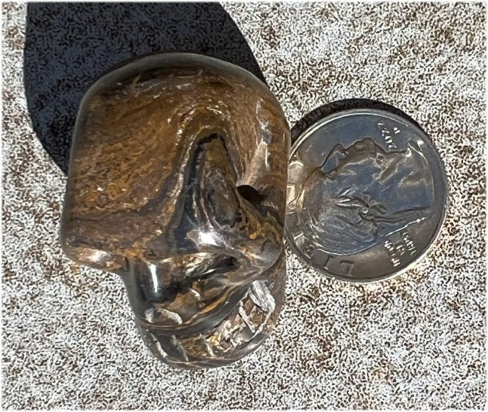 Stromatolite Fossil Stone CRYSTAL SKULL - Open to change, Root Chakra