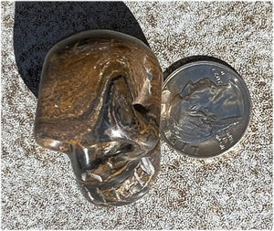 Stromatolite Fossil Stone CRYSTAL SKULL - Open to change, Root Chakra