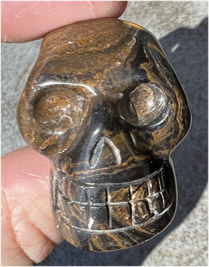 Stromatolite Fossil Stone CRYSTAL SKULL - Open to change, Root Chakra