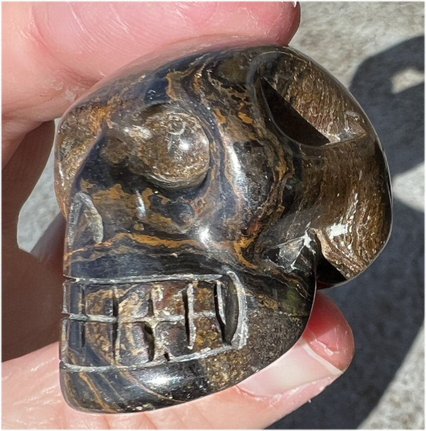 Stromatolite Fossil Stone CRYSTAL SKULL - Open to change, Root Chakra