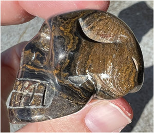 Stromatolite Fossil Stone CRYSTAL SKULL - Open to change, Root Chakra