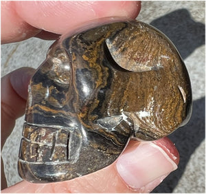 Stromatolite Fossil Stone CRYSTAL SKULL - Open to change, Root Chakra