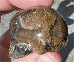 Stromatolite Fossil Stone CRYSTAL SKULL - Open to change, Root Chakra