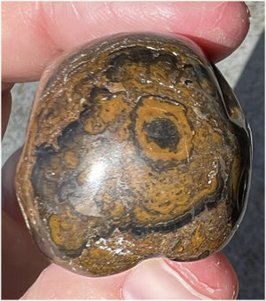Stromatolite Fossil Stone CRYSTAL SKULL - Open to change, Root Chakra