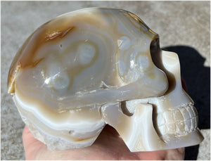 Baby Life-Size Agate GEODE Crystal Skull with BIG Vug, Mesmerizing Banding