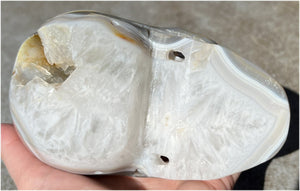 Baby Life-Size Agate GEODE Crystal Skull with BIG Vug, Mesmerizing Banding