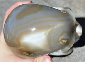 Baby Life-Size Agate GEODE Crystal Skull with BIG Vug, Mesmerizing Banding