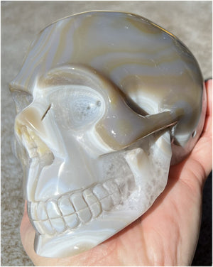 Baby Life-Size Agate GEODE Crystal Skull with BIG Vug, Mesmerizing Banding