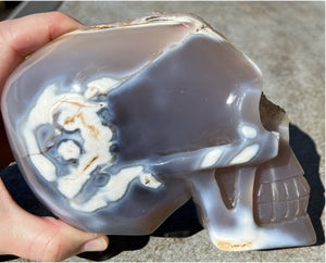 Fabulous Agate GEODE Crystal Skull with Citrine Lined Vug, Hematite, Dendritic inclusions