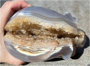 Fabulous Agate GEODE Crystal Skull with Citrine Lined Vug, Hematite, Dendritic inclusions