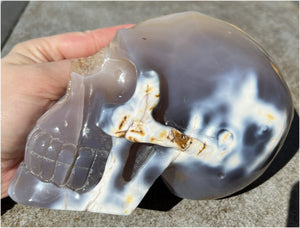 Fabulous Agate GEODE Crystal Skull with Citrine Lined Vug, Hematite, Dendritic inclusions
