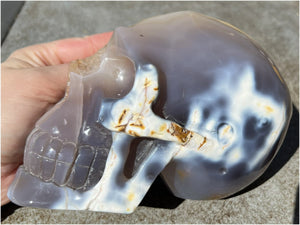 Fabulous Agate GEODE Crystal Skull with Citrine Lined Vug, Hematite, Dendritic inclusions