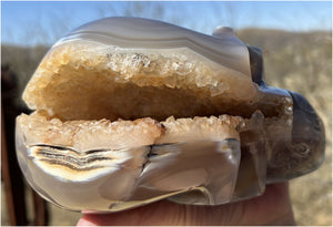 Fabulous Agate GEODE Crystal Skull with Citrine Lined Vug, Hematite, Dendritic inclusions