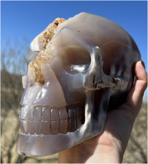 Fabulous Agate GEODE Crystal Skull with Citrine Lined Vug, Hematite, Dendritic inclusions