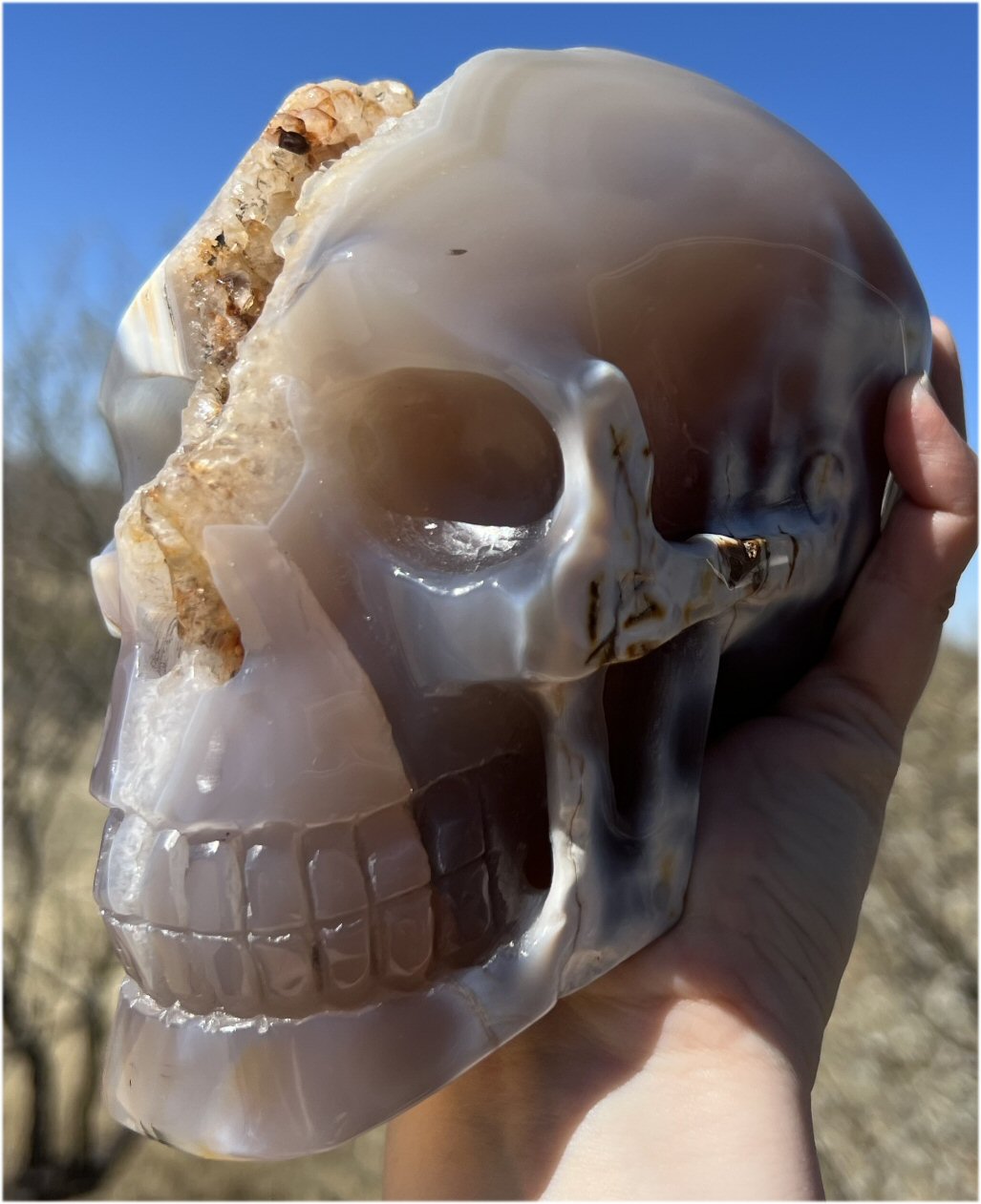 Fabulous Agate GEODE Crystal Skull with Citrine Lined Vug, Hematite, Dendritic inclusions