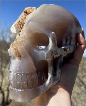 Fabulous Agate GEODE Crystal Skull with Citrine Lined Vug, Hematite, Dendritic inclusions