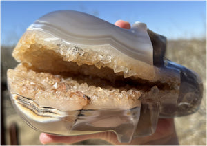 Fabulous Agate GEODE Crystal Skull with Citrine Lined Vug, Hematite, Dendritic inclusions