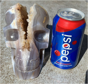 Fabulous Agate GEODE Crystal Skull with Citrine Lined Vug, Hematite, Dendritic inclusions