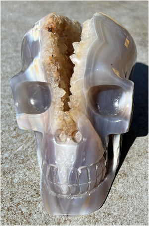 Fabulous Agate GEODE Crystal Skull with Citrine Lined Vug, Hematite, Dendritic inclusions