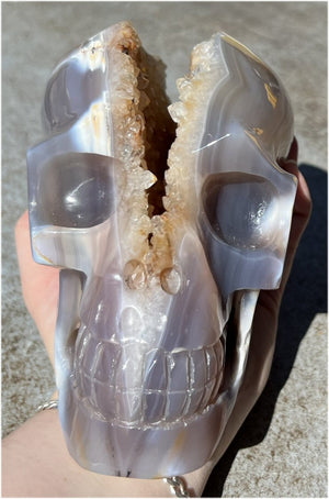 Fabulous Agate GEODE Crystal Skull with Citrine Lined Vug, Hematite, Dendritic inclusions