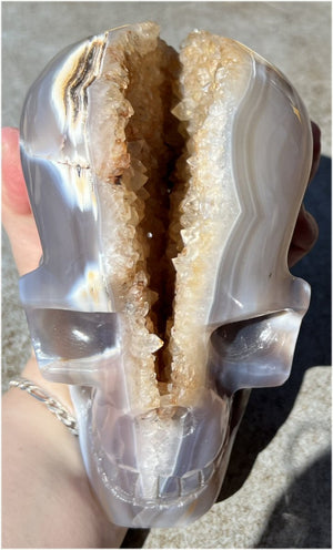 Fabulous Agate GEODE Crystal Skull with Citrine Lined Vug, Hematite, Dendritic inclusions