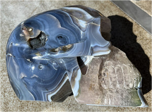 Huge AMETHYST GEODE Crystal Skull with Chlorite, Hematite, Dendritic inclusions, AMAZING Vugs - 20lbs+