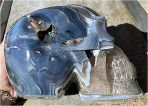 Huge AMETHYST GEODE Crystal Skull with Chlorite, Hematite, Dendritic inclusions, AMAZING Vugs - 20lbs+