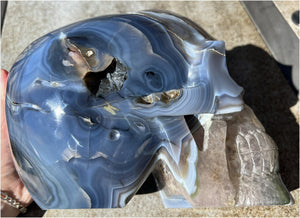 Huge AMETHYST GEODE Crystal Skull with Chlorite, Hematite, Dendritic inclusions, AMAZING Vugs - 20lbs+