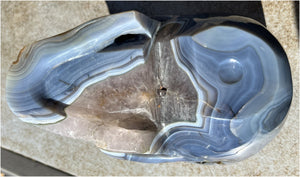 Huge AMETHYST GEODE Crystal Skull with Chlorite, Hematite, Dendritic inclusions, AMAZING Vugs - 20lbs+