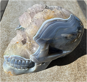 Huge AMETHYST GEODE Crystal Skull with Chlorite, Hematite, Dendritic inclusions, AMAZING Vugs - 20lbs+