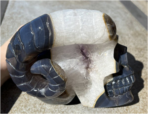 Amethyst Geode RAM Skull with Dendritic inclusions, Shimmery rainbows - Aries!