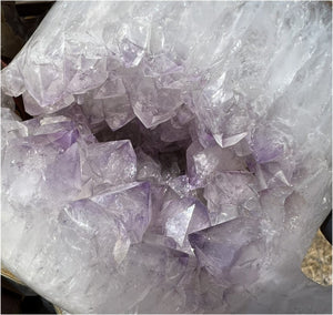 Amethyst Geode RAM Skull with Dendritic inclusions, Shimmery rainbows - Aries!
