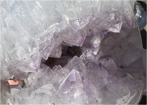 Amethyst Geode RAM Skull with Dendritic inclusions, Shimmery rainbows - Aries!