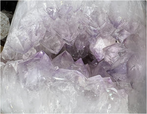 Amethyst Geode RAM Skull with Dendritic inclusions, Shimmery rainbows - Aries!