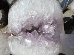 Amethyst Geode RAM Skull with Dendritic inclusions, Shimmery rainbows - Aries!
