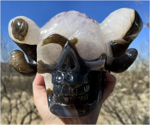 Amethyst Geode RAM Skull with Dendritic inclusions, Shimmery rainbows - Aries!