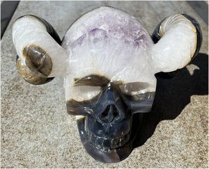 Amethyst Geode RAM Skull with Dendritic inclusions, Shimmery rainbows - Aries!
