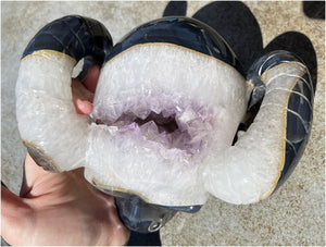 Amethyst Geode RAM Skull with Dendritic inclusions, Shimmery rainbows - Aries!