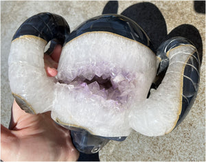 Amethyst Geode RAM Skull with Dendritic inclusions, Shimmery rainbows - Aries!