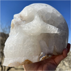 LifeSize Agate GEODE Crystal Skull with Big Druzy Lined Crown Chakra VUG, Golden Dendritic inclusions