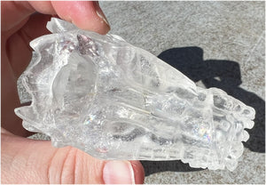 Quartz Dragon Crystal Skull with Tiny Golden Healer Hematite, Rainbows - Focus, Transformation