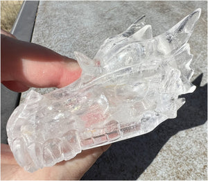 Quartz Dragon Crystal Skull with Tiny Golden Healer Hematite, Rainbows - Focus, Transformation