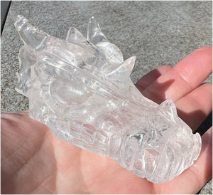 Quartz Dragon Crystal Skull with Tiny Golden Healer Hematite, Rainbows - Focus, Transformation