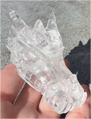 Quartz Dragon Crystal Skull with Tiny Golden Healer Hematite, Rainbows - Focus, Transformation