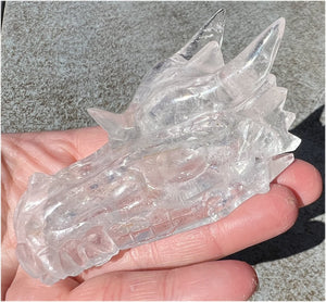 Quartz Dragon Crystal Skull with Tiny Golden Healer Hematite, Rainbows - Focus, Transformation