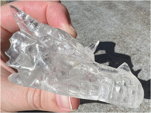 Quartz Dragon Crystal Skull with Tiny Golden Healer Hematite, Rainbows - Focus, Transformation